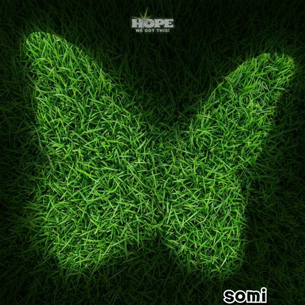 Image Cover